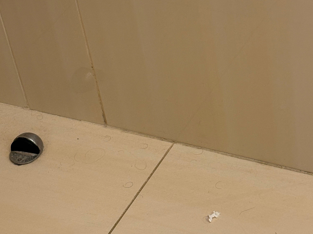 西港乡村旅舍酒店主图