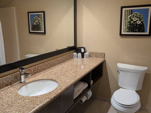 Holiday Inn 峡谷DE CHELLY（钦利）主图