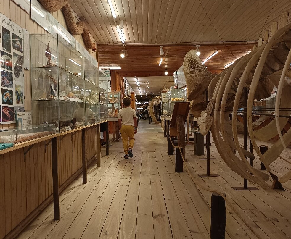 海洋博物馆-La Barra必去景点