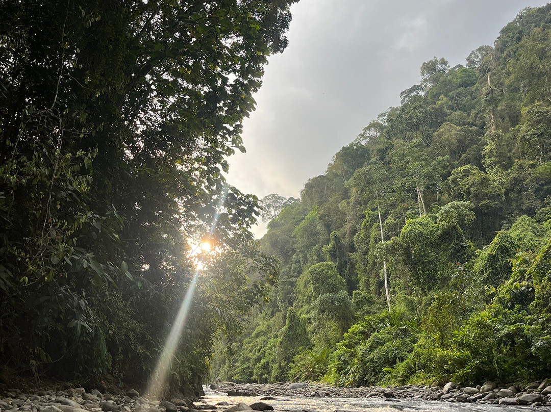Sumatra EcoVentures-武吉拉旺必去景点