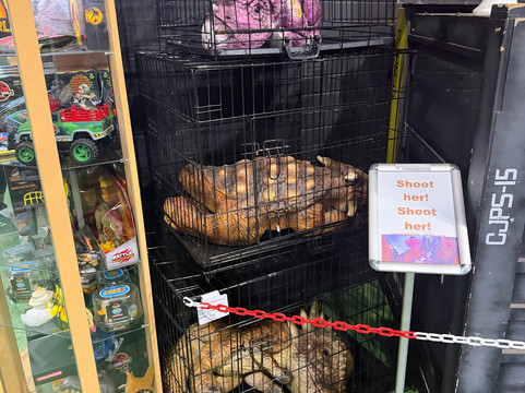 Rexys Reviews-Dunston必去景点