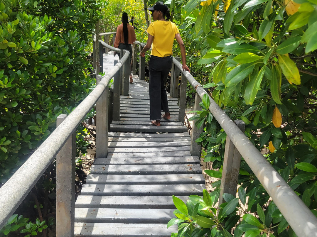 Gazi Mangrove Boardwalk-乌库达必去景点