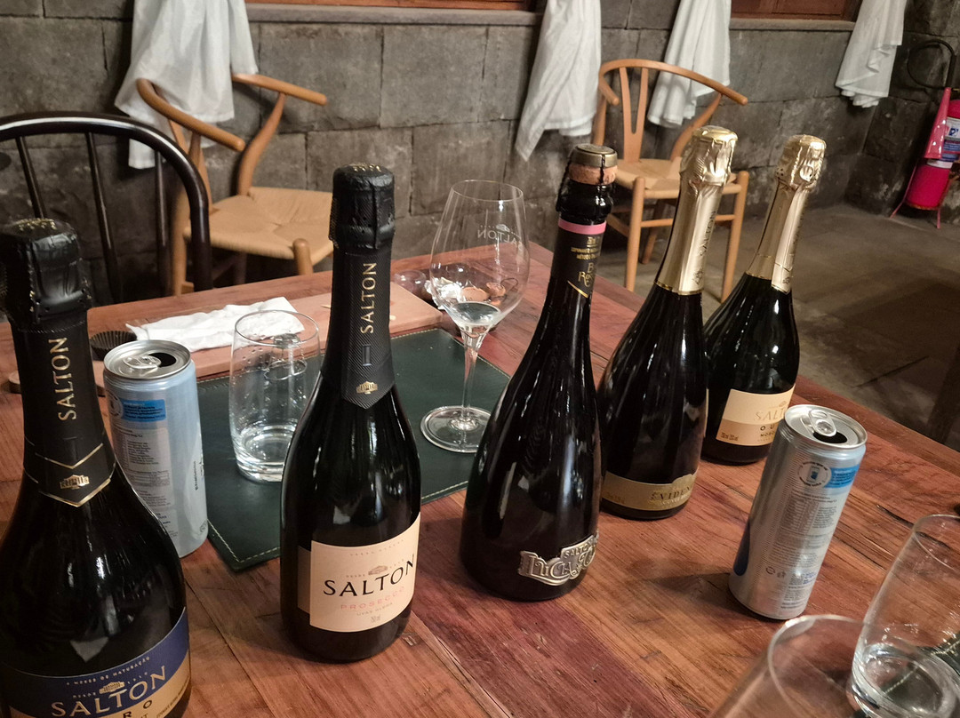 Vinícola Salton-本图贡萨尔维斯必去景点