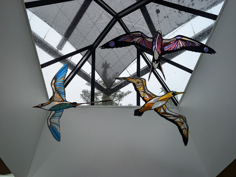 Norfolk Island National Park & Botanic Garden-诺福克岛必去景点