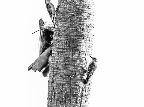 Cedar Point Environmental Park-恩格尔伍德必去景点