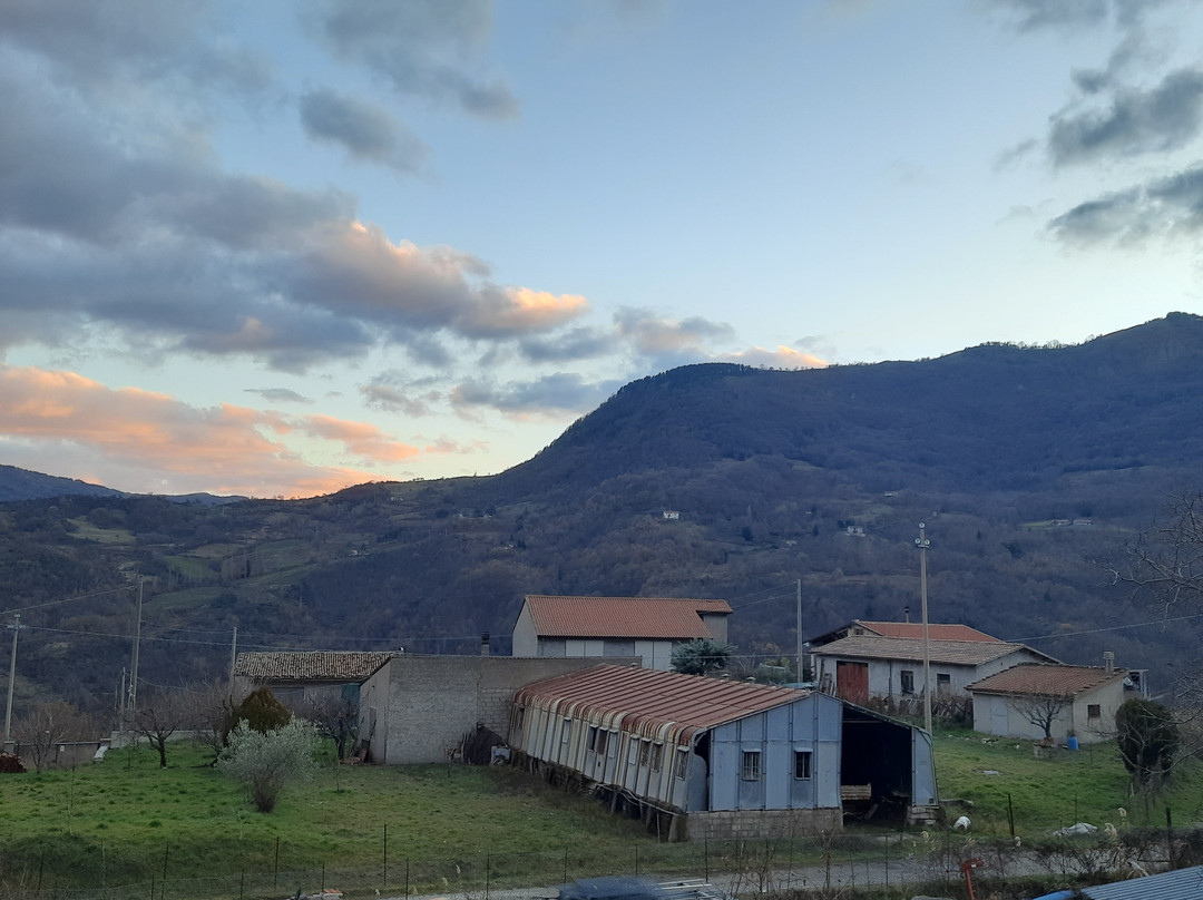 Hotel Pino Loricato主图