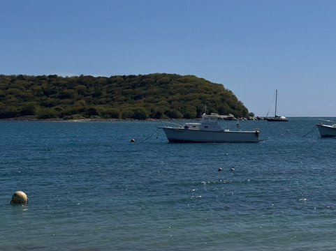 Vieques Island-维切克岛必去景点