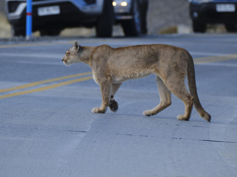 Iso100 Outdoor-Torres del Paine必去景点