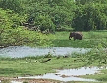 Ashintha Tours & Taxi Service Koggala-克拉必去景点