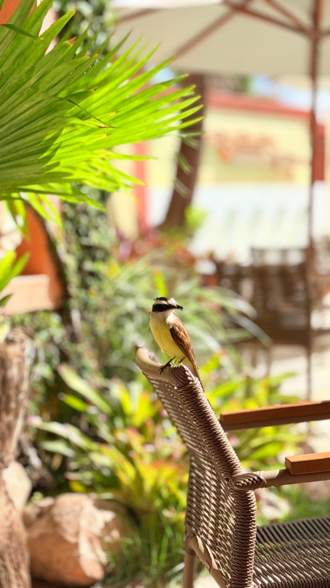 马纳里普莱雅酒店-官方