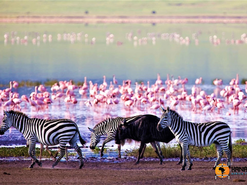 Tanzania Travelers-莫西必去景点