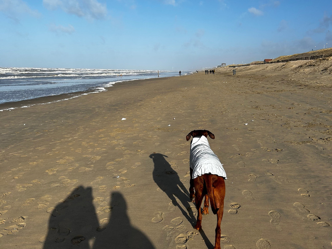 Zandvoort Aan Zee-赞德沃特必去景点