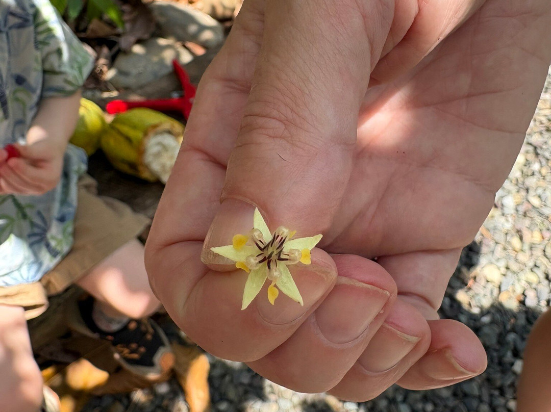 La Iguana Chocolate-Santiago de Puriscal必去景点