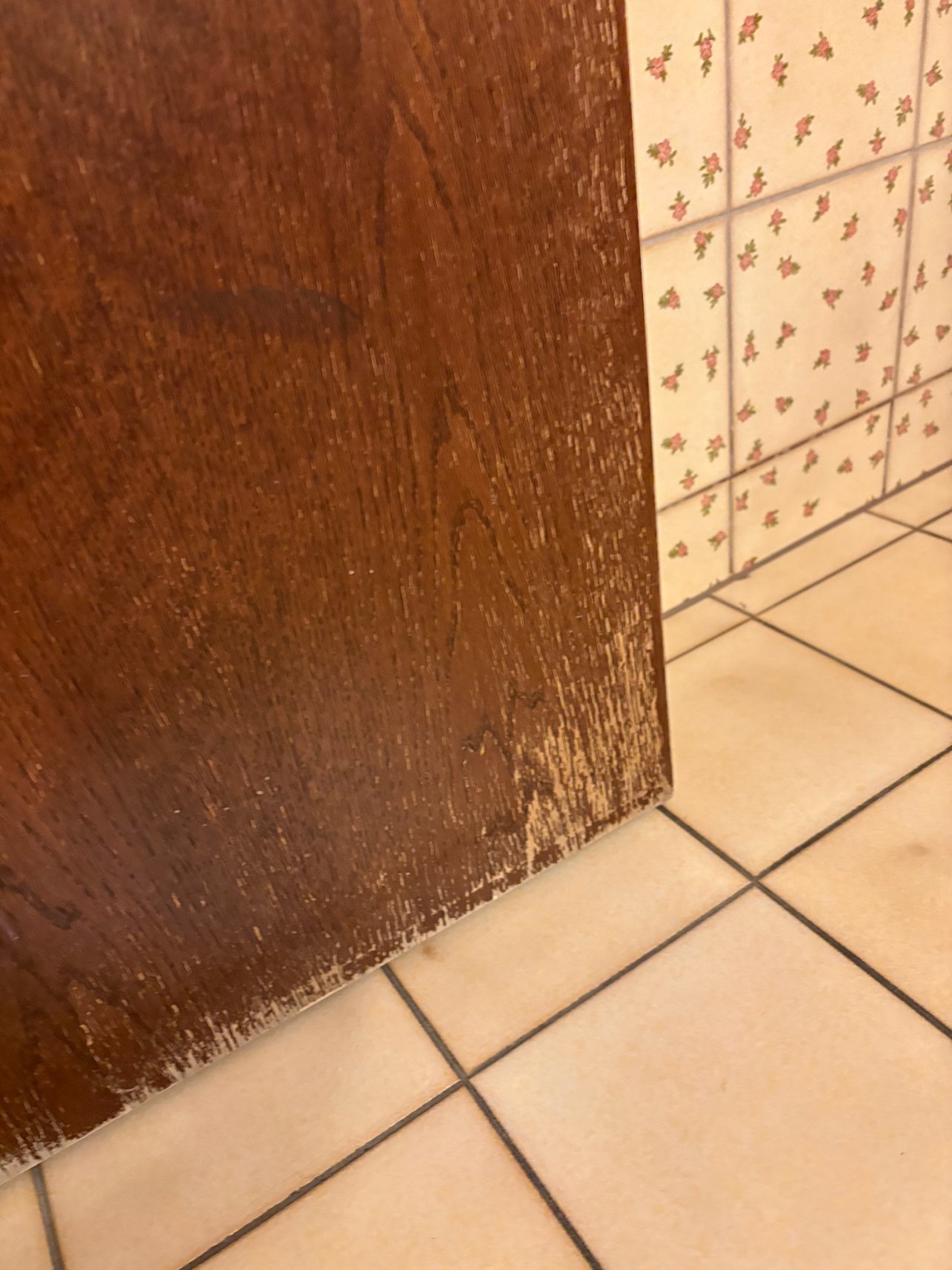 加尼巴恩酒店-官方