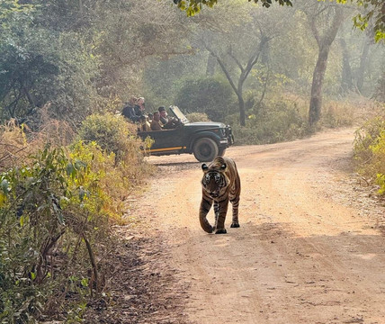 My Rajasthan Trip-斋蒲尔必去景点