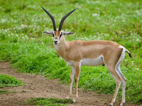 Big 5 Africa Tours-Bobingen必去景点