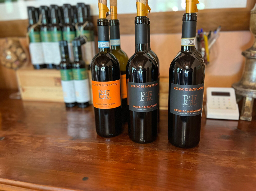 Molino di Sant'Antimo-Castelnuovo dell'Abate必去景点