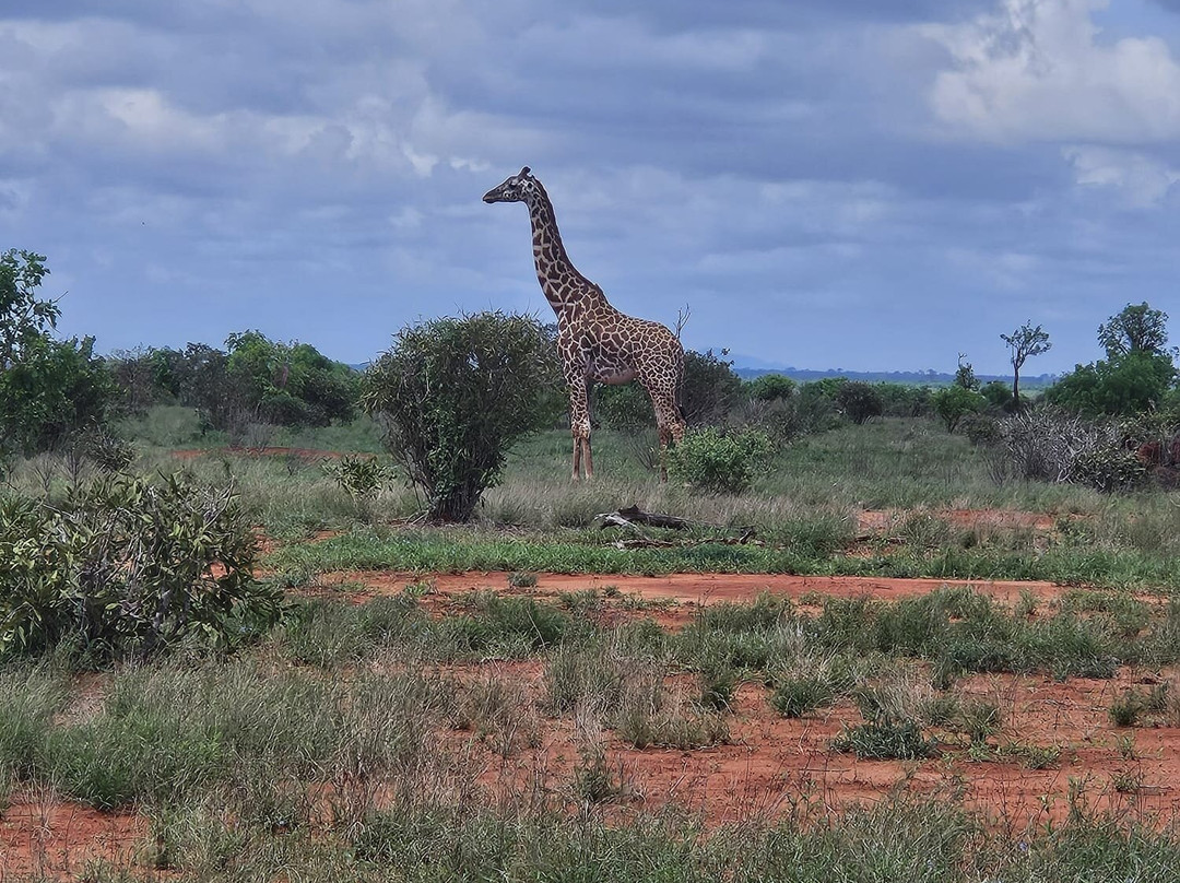 Info Kenya Tours-瓦塔木必去景点