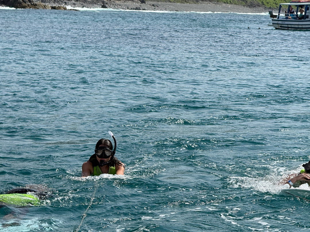 Capimasul - Agência De Turismo-费尔南多-迪诺罗尼亚群岛必去景点