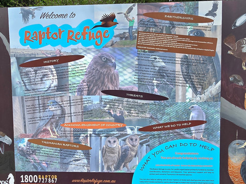 波诺朗野生动物园-Brighton必去景点