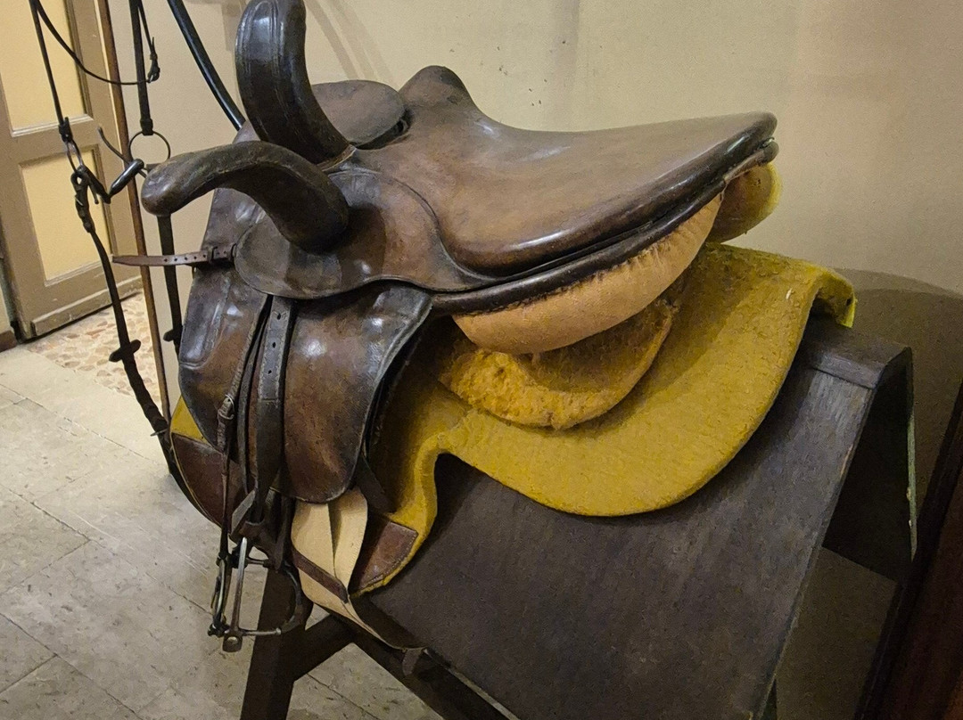 Museo Storico dell'Arma di Cavalleria-Pinerolo必去景点