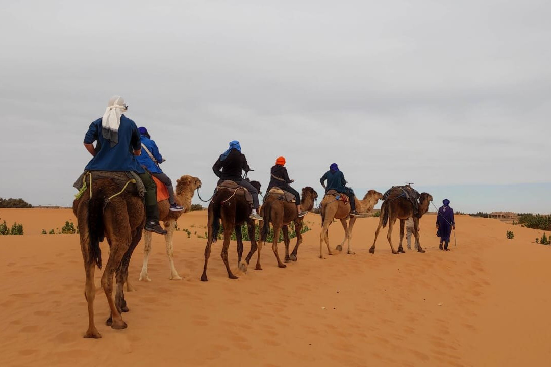 Amodo Tours-瓦尔扎扎特必去景点