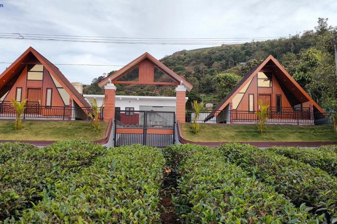 Vaango Cottages