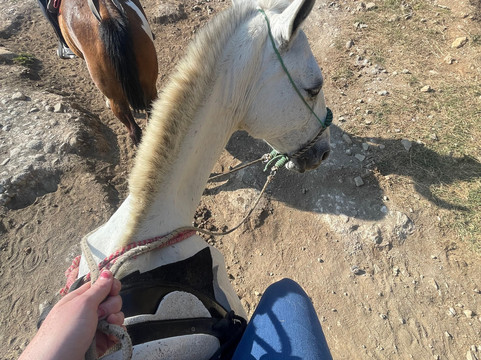 MonteTours-蒙特沃德必去景点