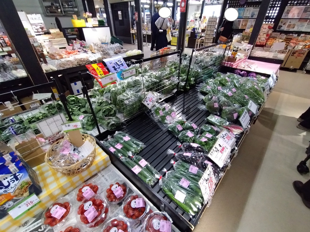 Adachi Chieko No Sato Michi-No-Eki-二松本市必去景点