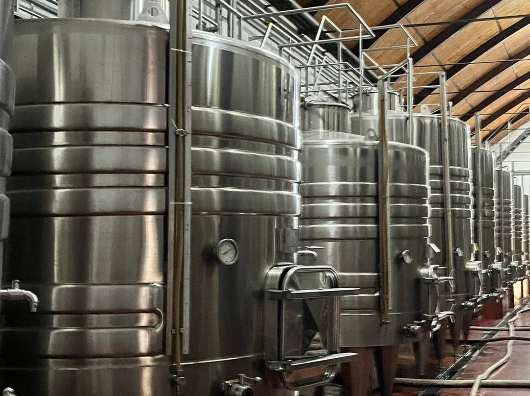 Bodega Norton-路冉得库约必去景点