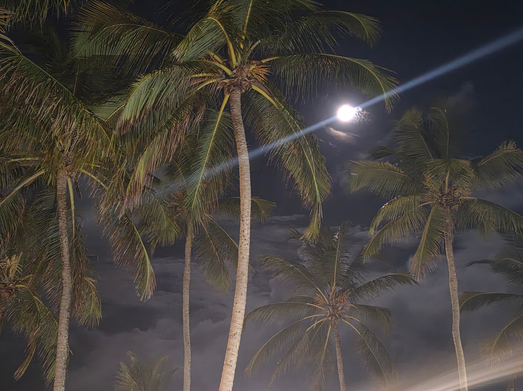 El Aram Beach Cabo - All Inclusive