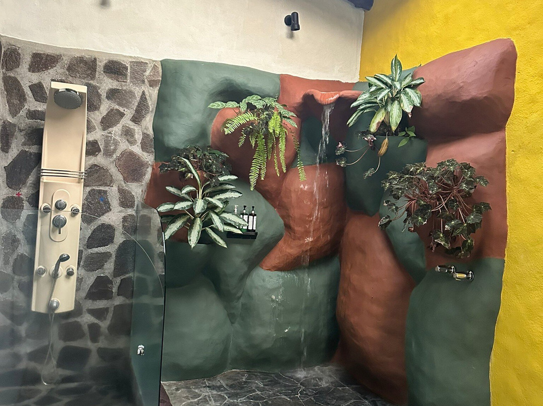 Mountain Paradise Hotel Spa-福德圣卡洛斯必去景点