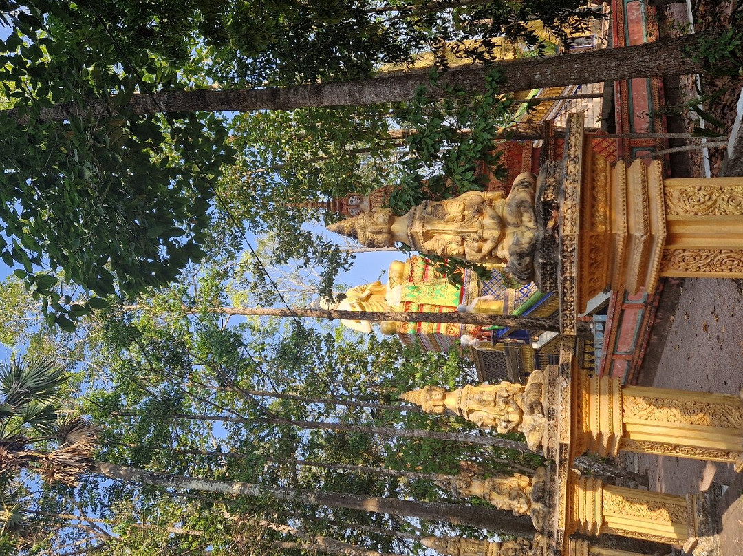 Can Tho Touring with Susan-芹苴必去景点