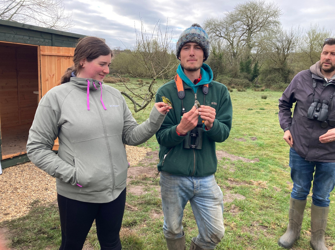 Birds Of Poole Harbour Events-普尔必去景点