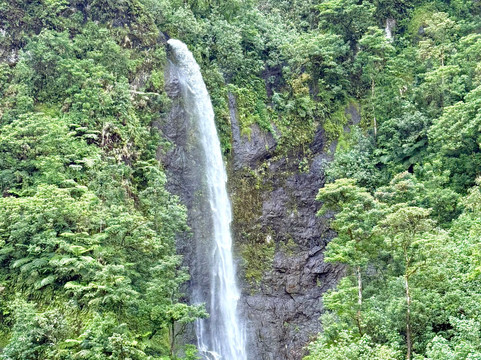 Tahiti Safari Expedition-阿鲁埃必去景点