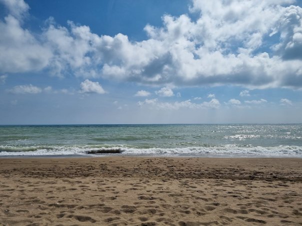 Rixos Premium 贝莱克酒店 - 传奇之地-泳池