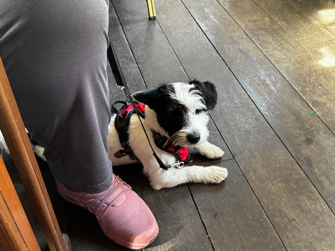 Gwili Railway-喀麦登必去景点