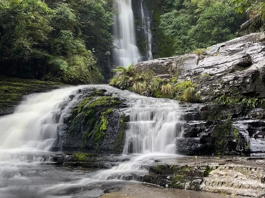 McLean Falls-Papatowai必去景点