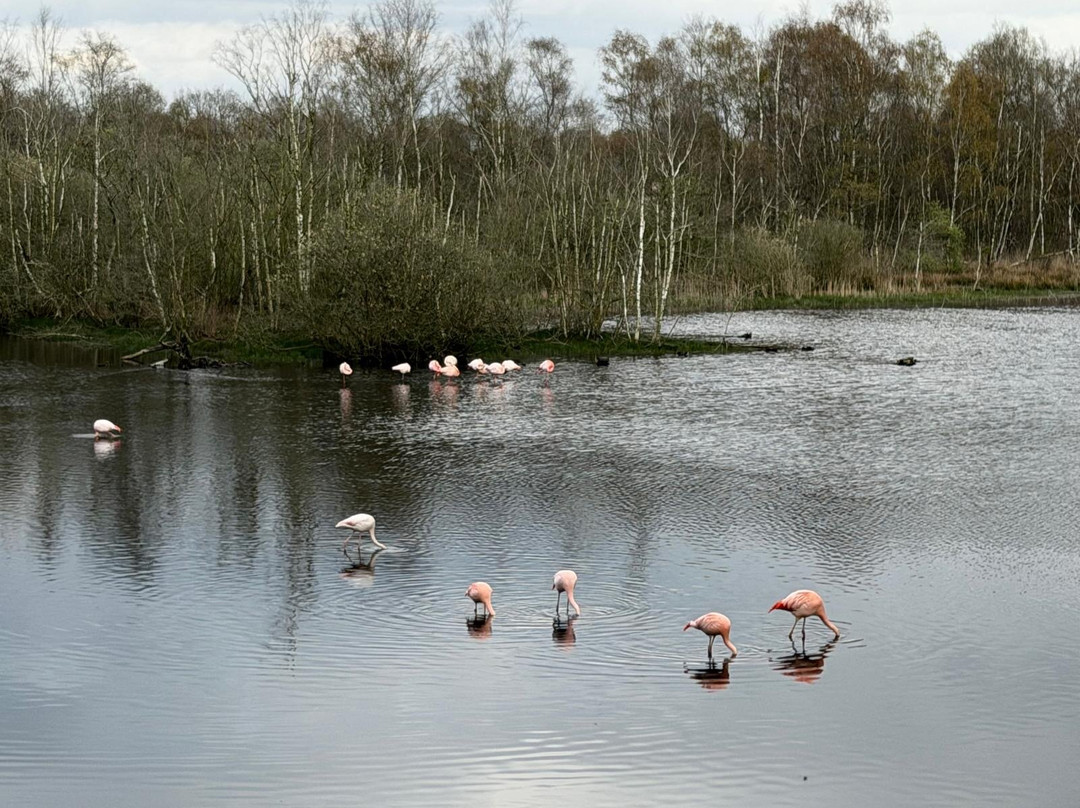 Unieke Uitjes-Laren必去景点