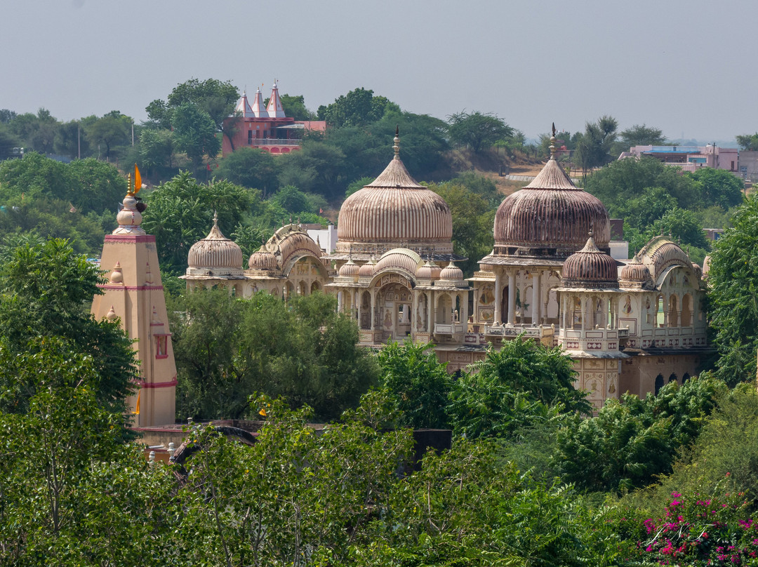 Voyage au Rajasthan avec Krishna Singh