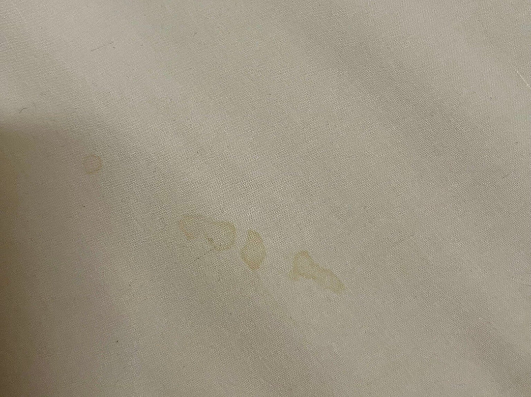 巴黎紫丁香门民宿酒店主图