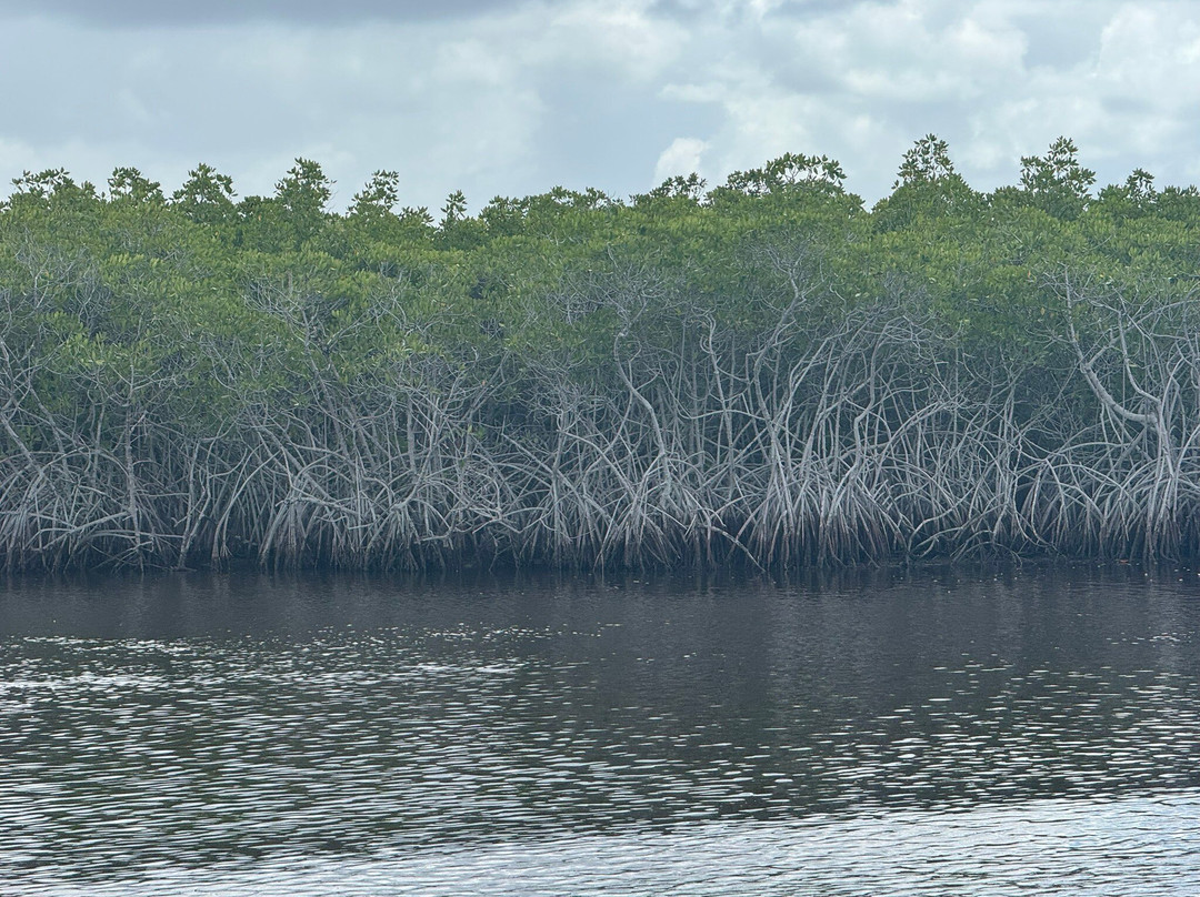 Wooten's Everglades Airboat Tour-奥乔皮必去景点