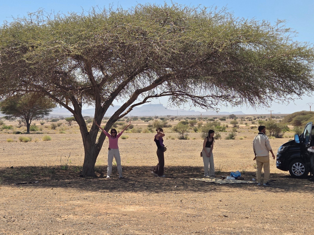 Wild Desert of Morocco-卡萨布兰卡必去景点