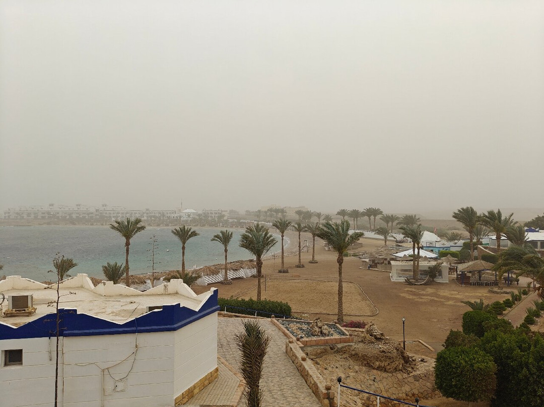 ORCA Dive Club Coral Garden