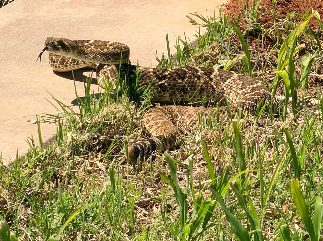 Wichita Bluff Nature Area