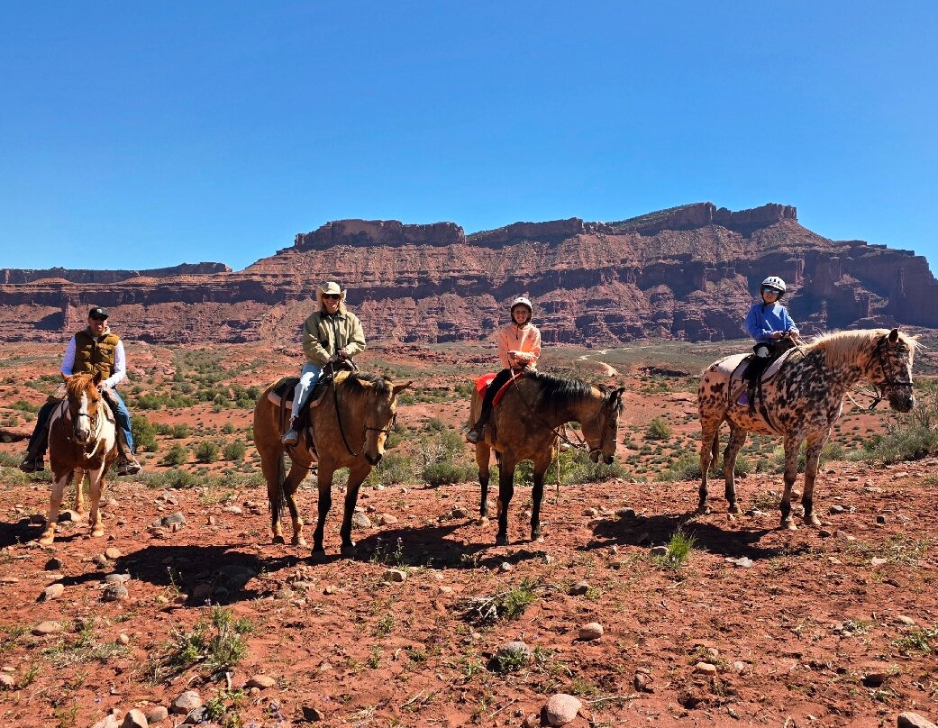 Moab Horses-莫阿布必去景点