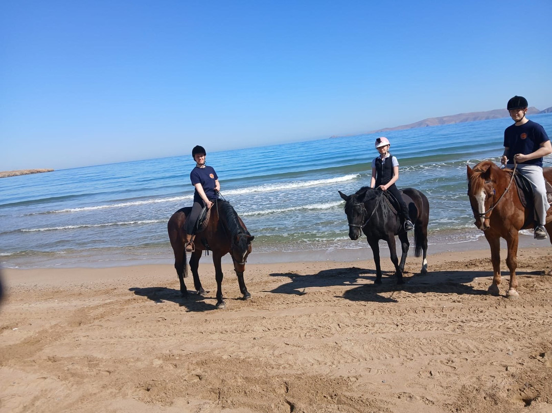 Riding Academy of Crete - Ippikos Riding Club-Karteros必去景点