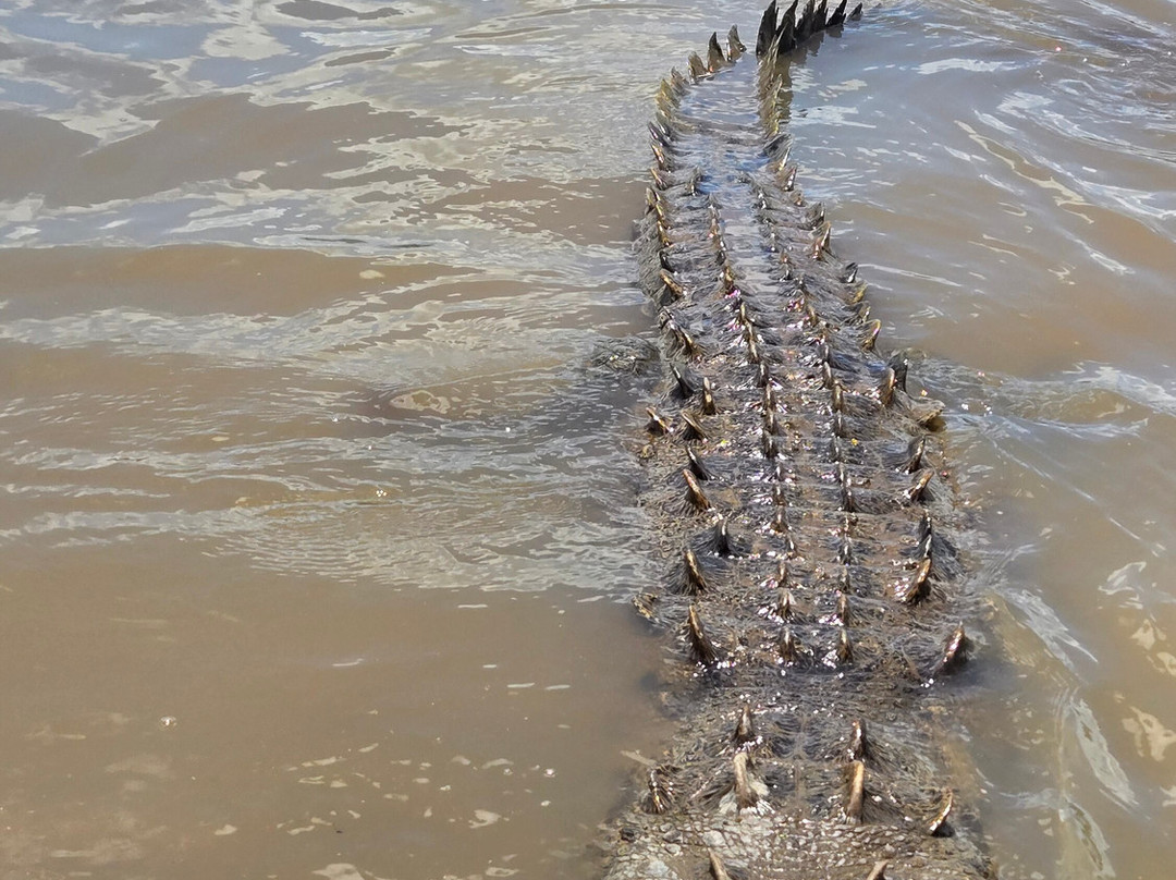 Tiquicia Tours-彭塔雷纳斯必去景点