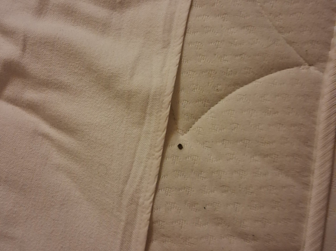 德拉默兹酒店主图