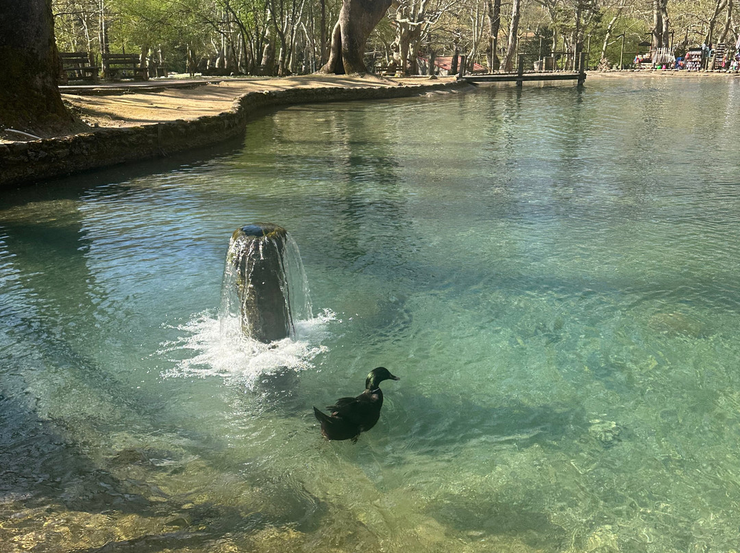 Agios Nikolaos Park-Naousa必去景点